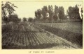 ReformSchool Garden 1912.jpg