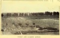 ReformSchool Field&Garden 1912.jpg