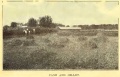 ReformSchool Corn&Millet 1912.jpg
